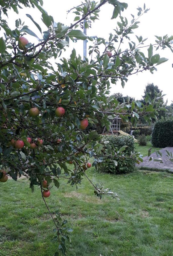 Villa Franzen Derenbach Eksteriør billede